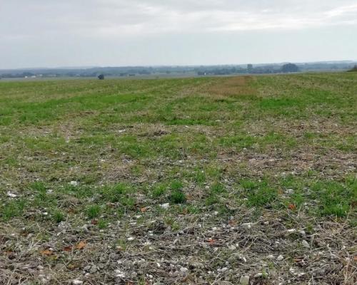 Działka inwestycyjna 4,5 ha bezpośrednio przy S12