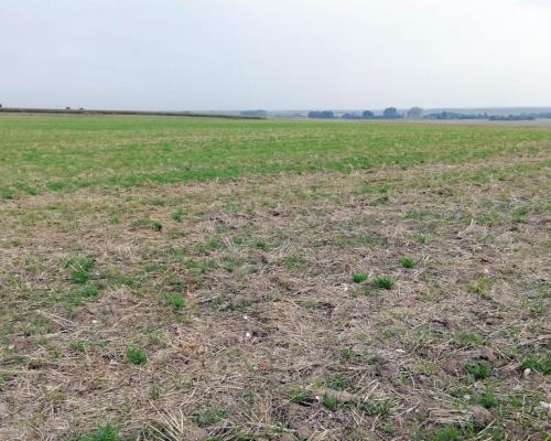 Działka inwestycyjna 4,5 ha bezpośrednio przy S12