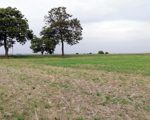 Działka inwestycyjna 4,5 ha bezpośrednio przy S12