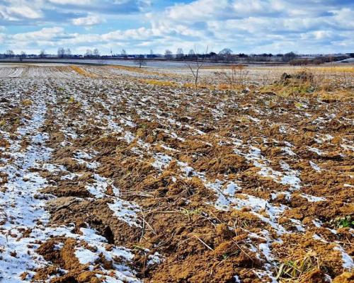 Działka budowlana Płouszowice Kolonia - 35ar