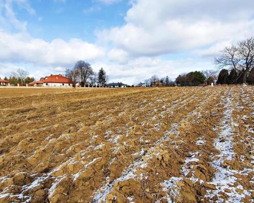 Działka budowlana Płouszowice Kolonia - 35ar