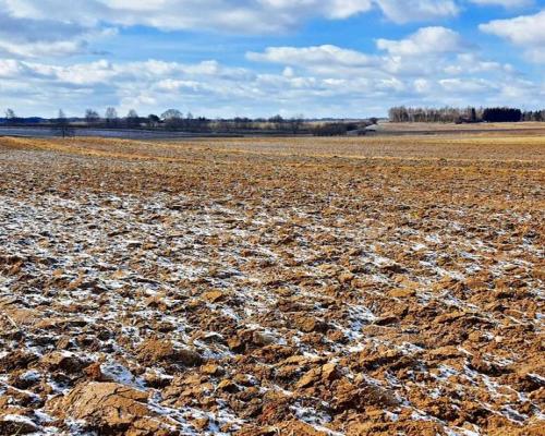 Działka budowlana Płouszowice Kolonia - 35ar