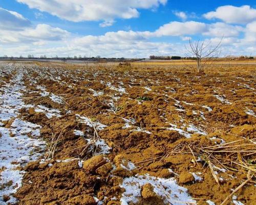 Działka budowlana Płouszowice Kolonia - 35ar