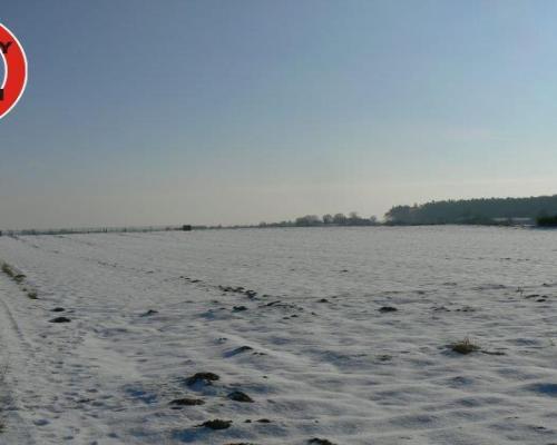 Krężnica Jara 8km od Lublina. 8000m2