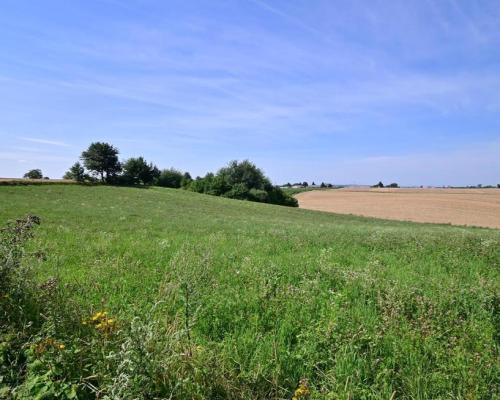 Działka doskonała pod inwestycję - Nałęczów - 14ar