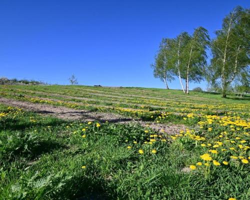 Działka doskonała pod inwestycję - Nałęczów - 14ar