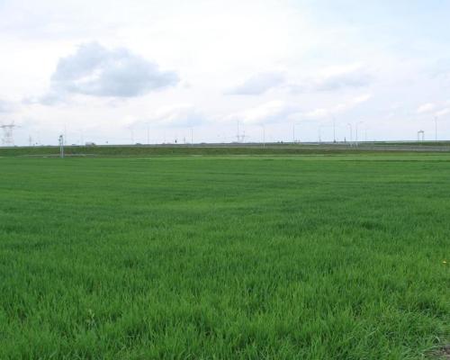 Atrakcyjna działka usługowa przy obwodnicy Lublina