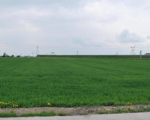 Atrakcyjna działka usługowa przy obwodnicy Lublina