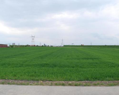 Atrakcyjna działka usługowa przy obwodnicy Lublina