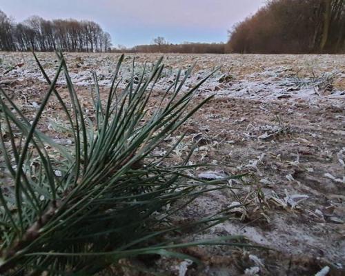 30a w doskonałej lokalizacji pod Kazimierzem D