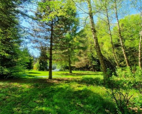 Działka, Zemborzyce Tereszyńskie, 57 ar