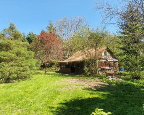 Działka, Zemborzyce Tereszyńskie, 57 ar