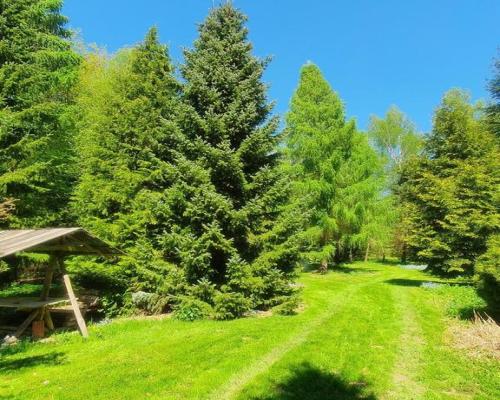 Działka, Zemborzyce Tereszyńskie, 57 ar