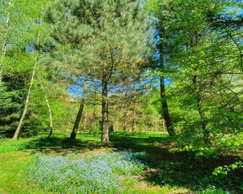 Działka, Zemborzyce Tereszyńskie, 57 ar