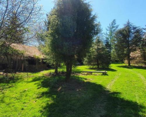 Działka, Zemborzyce Tereszyńskie, 57 ar