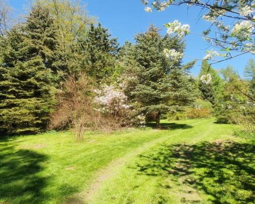 Działka, Zemborzyce Tereszyńskie, 57 ar