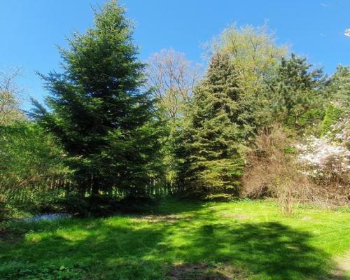 Działka, Zemborzyce Tereszyńskie, 57 ar