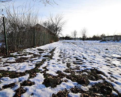 Gm. Wąwolnica - 100ar z projektem domu.