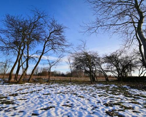 Gm. Wąwolnica - 100ar z projektem domu.
