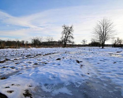 Gm. Wąwolnica - 100ar z projektem domu.