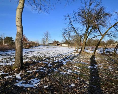 Gm. Wąwolnica - 100ar z projektem domu.