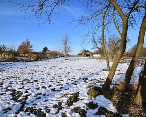 Gm. Wąwolnica - 100ar z projektem domu.