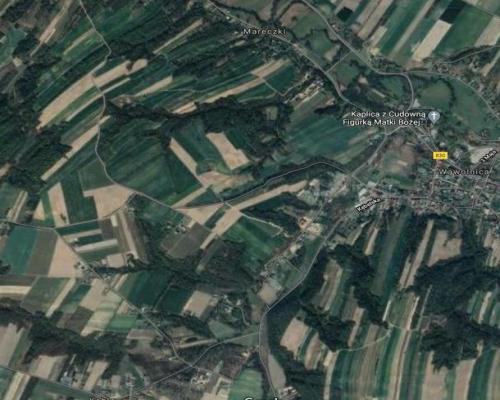 Gm. Wąwolnica - 100ar z projektem domu.