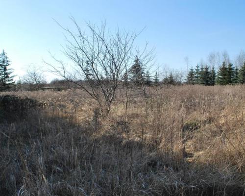 Działka w okolicy ulicy Zelwerowicza.