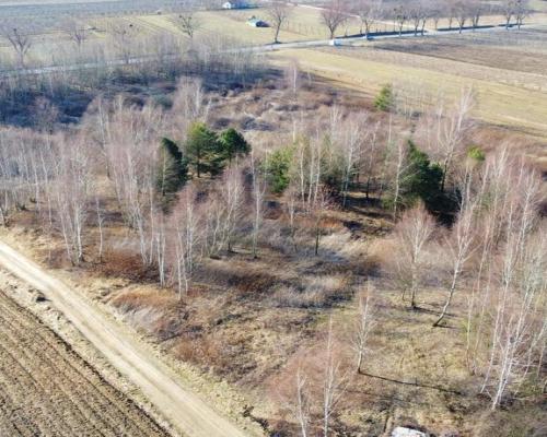 Piękna działka rekreacyjna na zaciszu - Karczmiska