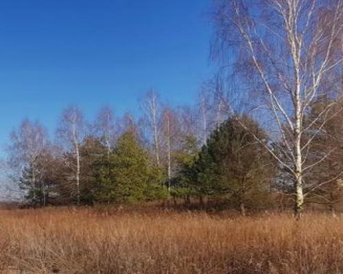 Piękna działka rekreacyjna na zaciszu - Karczmiska