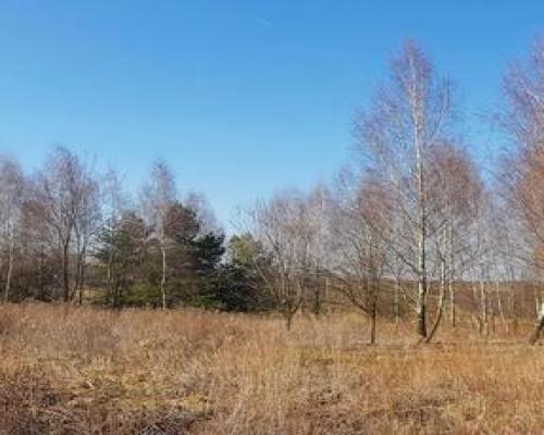 Piękna działka rekreacyjna na zaciszu - Karczmiska