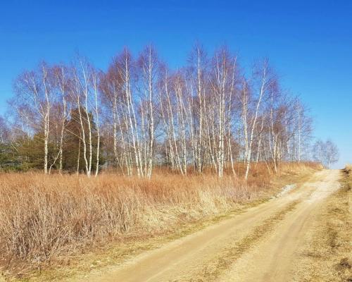 Piękna działka rekreacyjna na zaciszu - Karczmiska