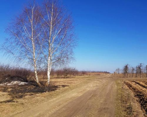 Piękna działka rekreacyjna na zaciszu - Karczmiska
