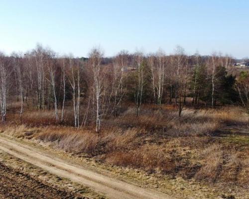 Piękna działka rekreacyjna na zaciszu - Karczmiska