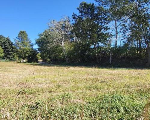 Piękna działka z WZ o nieszablonowym kształcie