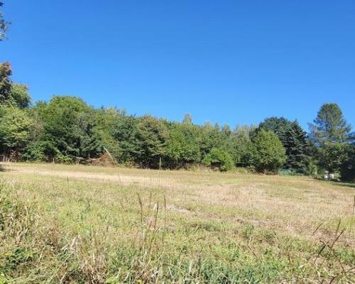 Piękna działka z WZ o nieszablonowym kształcie