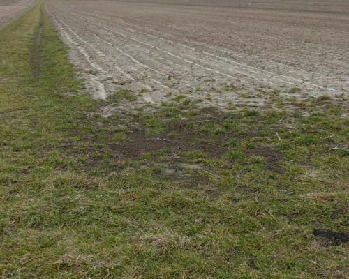 Działka w doskonałej lokalizacji-5 min. od Zalewu