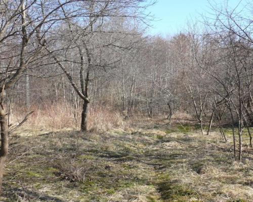 Jabłonna Druga - duża działka z domem + bud gosp!