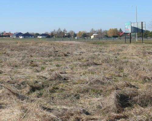 Jabłonna Druga - duża działka z domem + bud gosp!