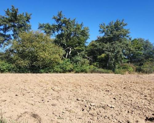 10 ar Konopnica - na zaciszu.