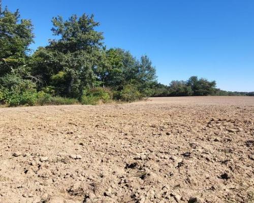 10 ar Konopnica - na zaciszu.