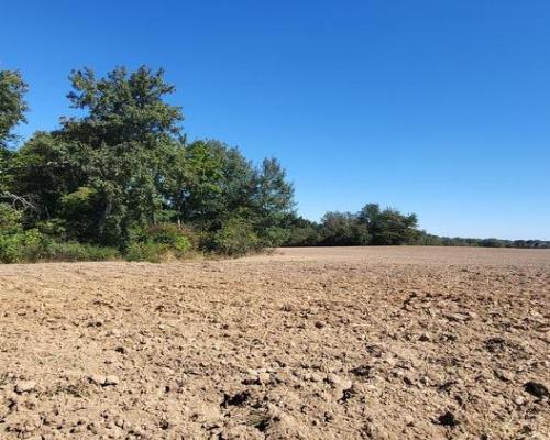 10 ar Konopnica - na zaciszu.