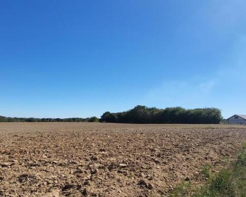 10 ar Konopnica - na zaciszu.