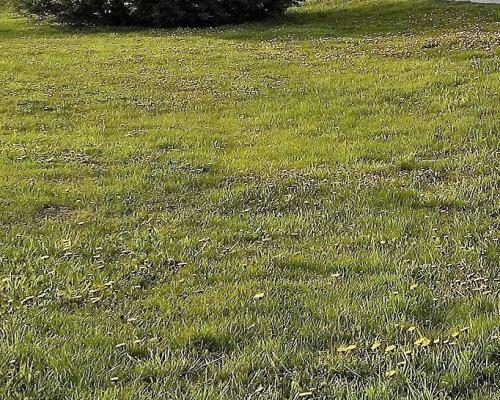 Działka budowl. w Jakubowicach Konińskich -18 arów