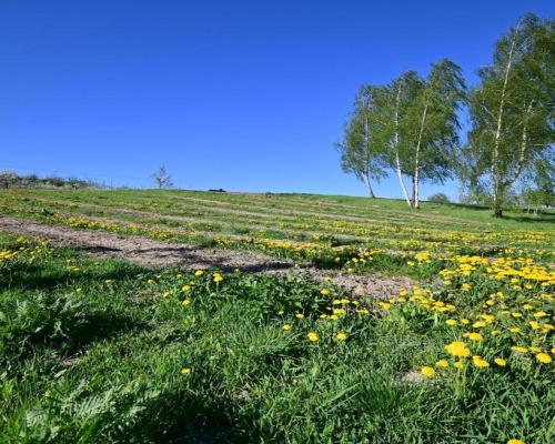 Karczmiska I 12 km od Kazimierza Dolnego