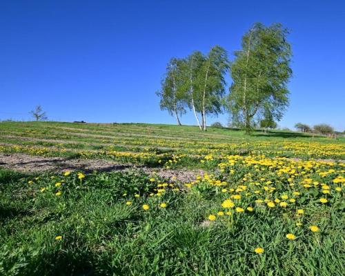 Karczmiska I 12 km od Kazimierza Dolnego