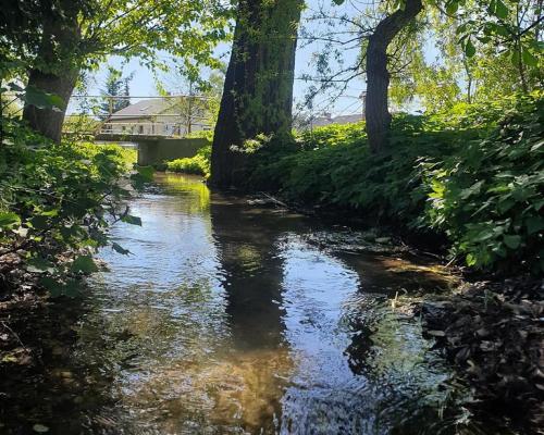 Karczmiska I 12 km od Kazimierza Dolnego