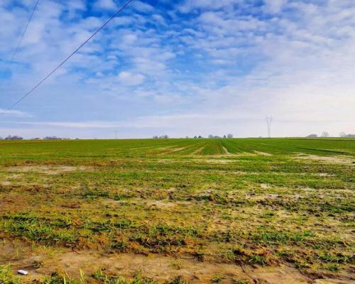 Działka 14ar pod zab. jednorodzinną - Zemborzyce