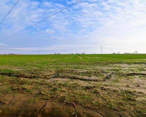 Działka 14ar pod zab. jednorodzinną - Zemborzyce