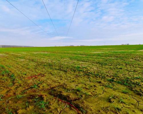 Działka 14ar pod zab. jednorodzinną - Zemborzyce